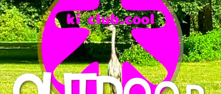 Video Diary ki club.cool's karate summer school at Westerpark Amsterdam-Zomer6sies karate Amsterdam