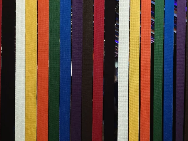 Woensdag 10 december 2025: karate examens.
Geen lessen. Elandsstraat 175 Amsterdam