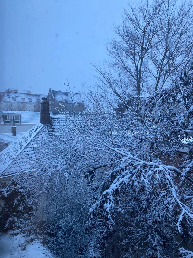 Lieve mensen,
Helaas ook donderdag 8 januari 2026 geen karateles vanwege het winterweer.
ki club.cool
❄️🌟